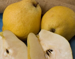 Kieffer Pear